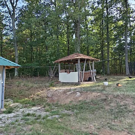 Brusnica Konaci Case de vacanță Gornji Milanovac