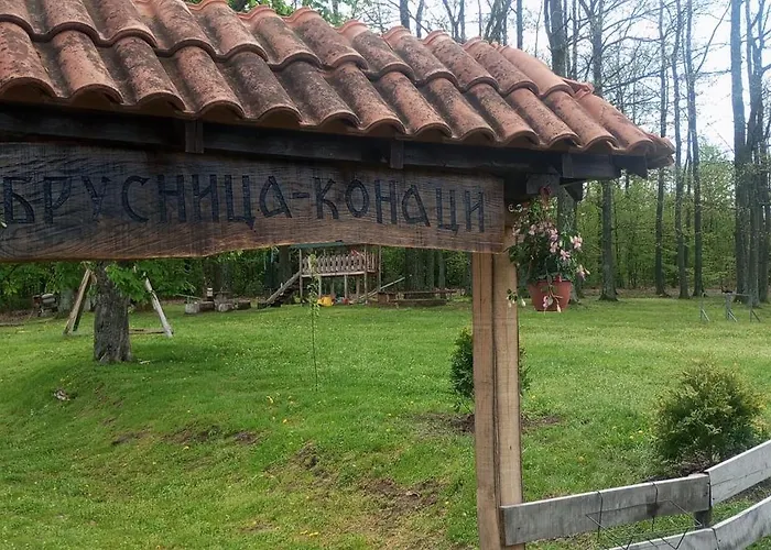 Brusnica Konaci 펜션 고르니 밀라노바츠