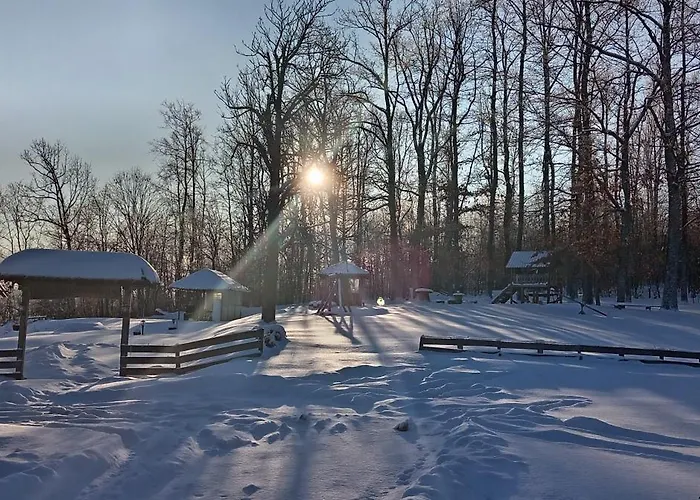 Brusnica Konaci 펜션